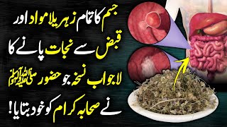 Senna Leaves Benefits For Constipation And Detox Your Body Urdu Hindi - Sana Makki K Fayde