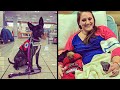 Rude Kid Hits Service Dog and Owner Teaches Her a Lesson She Won't Forget