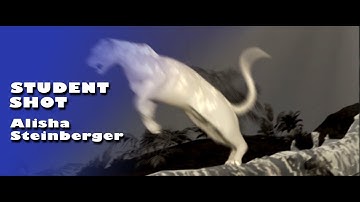 Animation Student Graduate 2020 - Alisha Steinberger | Griffin Animation Academy