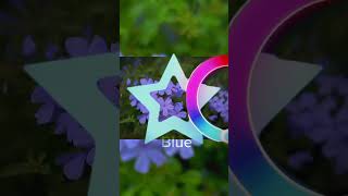 Color wheel trend with flowers #editedbyme #flowers #capcut