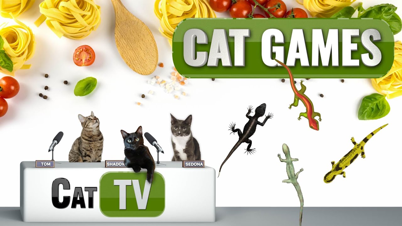 CAT Games Larry the Lizard Family Reunion in Italy! 2 Hours 🦎🎉