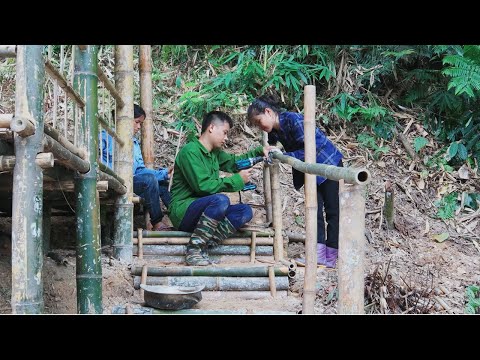 Video: Vai salipušos bambusu var sadalīt?