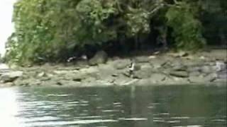 Andaiku Tahu Cover Done By Hashimkon