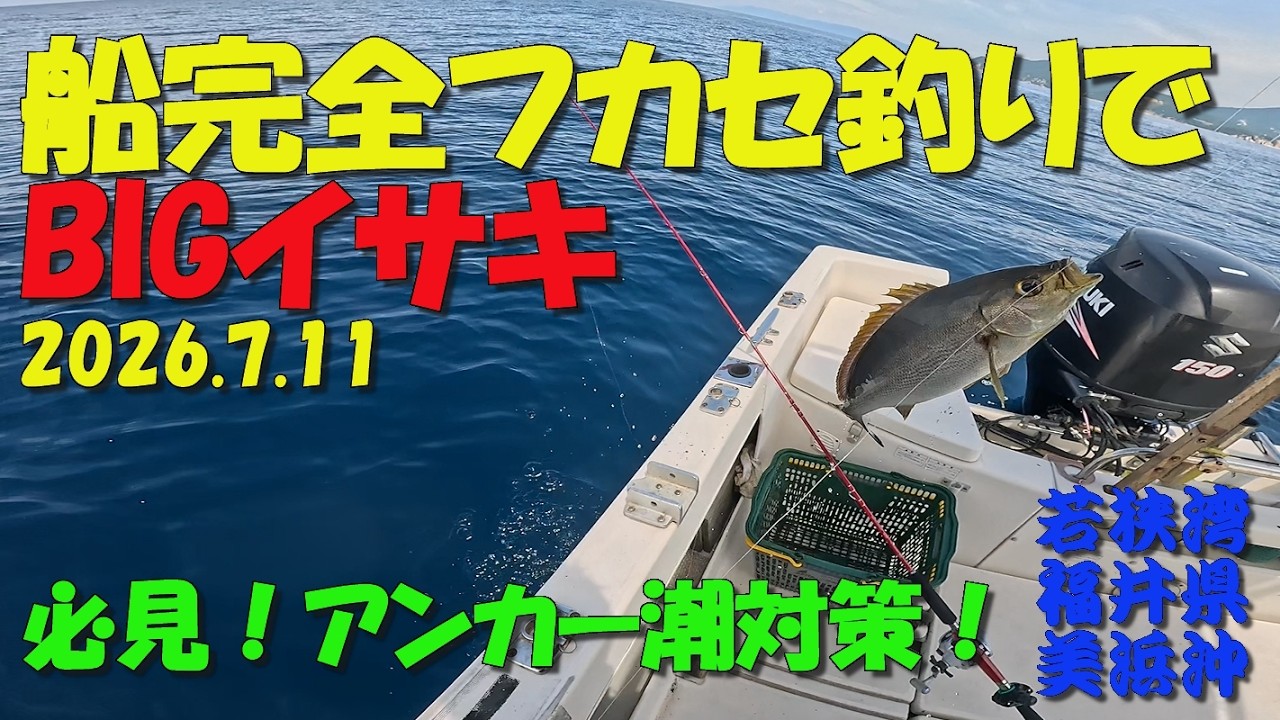 完全フカセ釣りでBIGイサキ！ 2026.7.11 ～若狭湾 福井県三方郡美浜沖