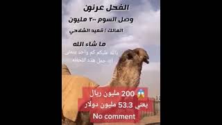 قناة أبو أســـــــــــيد أبوالرُّب   {}{الجمل عرنون وصل آخر سوم له 200مليون ريال }{}