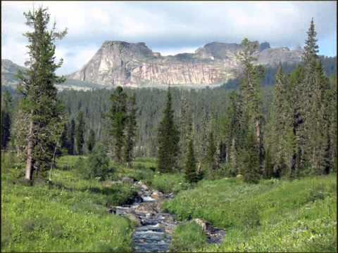 СТУДЕНЧЕСКАЯ ПЕСНЯ ПРО ЕЛОЧКУ