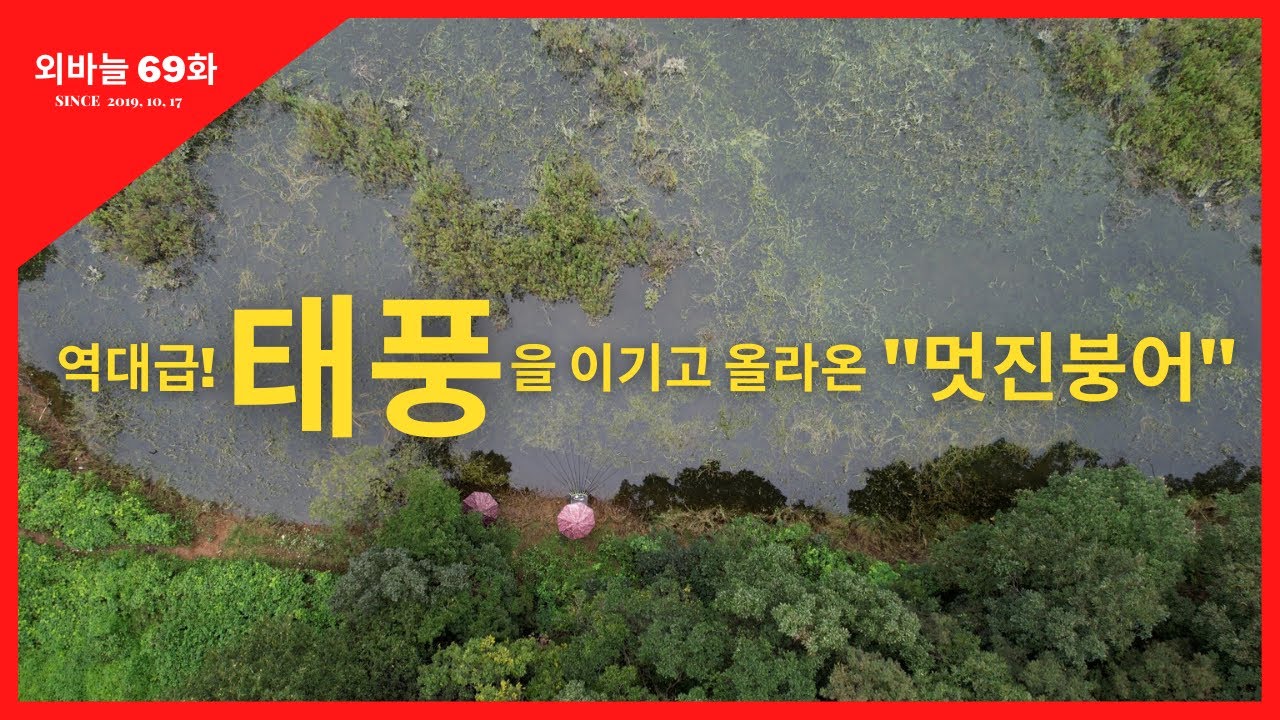 외바늘 [69화] 역대급! 태풍을 이기고 올라온 