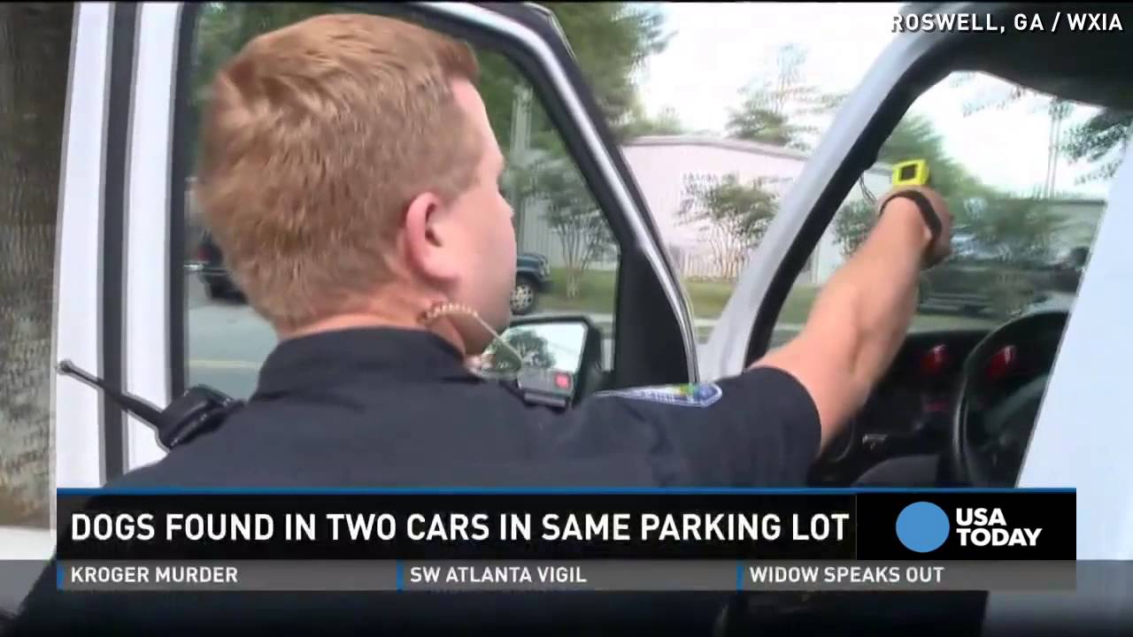 Police rescue two dogs in hot cars in same lot YouTube