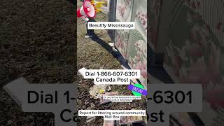 City of Mississauga and Canada Post phone numbers