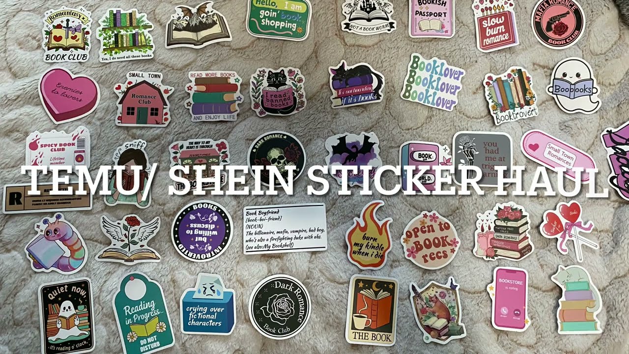 Temu / SHEIN sticker haul