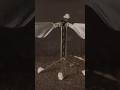 Robobee: The Tiny Robot Inspired by Nature 🐝 | #Shorts #nanotechnology #microrobots #science