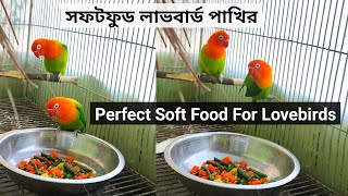 How To Make Lovebirds Perfect Soft Food screenshot 4