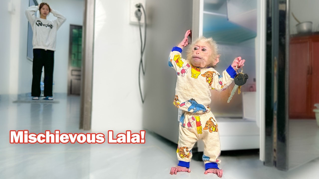 Lala leaves the new nanny confused with her mischievous actions!