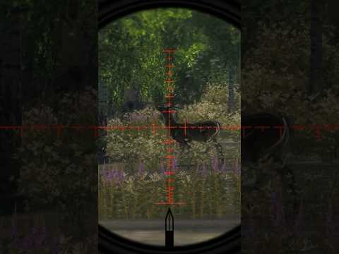 170.1575 SCORİNG EPİC DEER |the Hunter Classic