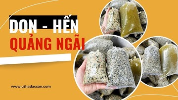 Don Tươi - Hến Tươi Quảng Ngãi Cách Phân Biệt Don Và Hến