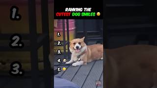 Ranking the CUTEST DOG SMILES Ever!! 🥹 🐶  #dogs #cute #dogvideos #dogshorts #ranking #viral #puppy