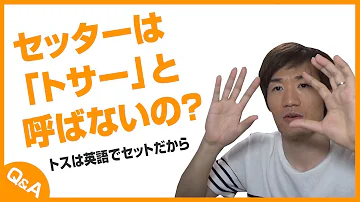 バレーセッター役目 バレーセッター役目