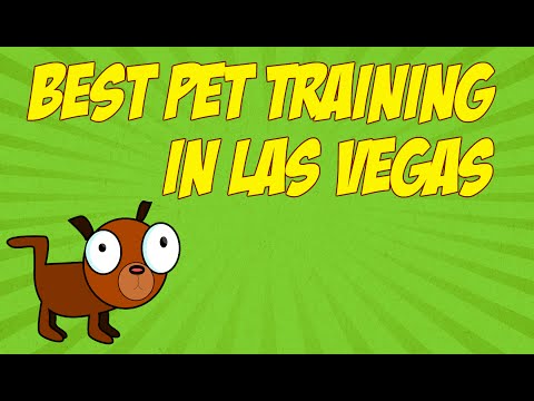 best-pet-training-in-las-vegas