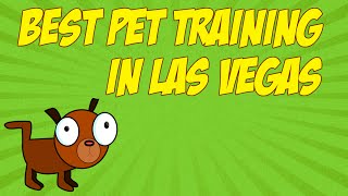 Best Pet Training In Las Vegas