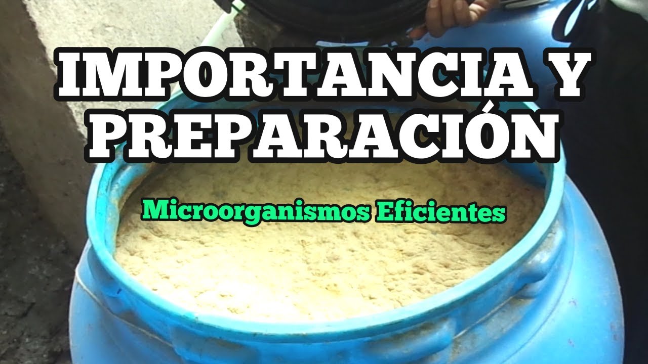 IMPORTANCIA Y PREPARACIÓN DE MICROORGANISMOS EFICIENTES | AGRO TU VIDA