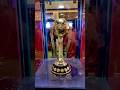world cup trophy tour | icc world cup india 2023 | #worldcup #cricket #india  #shorts