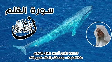 المصحف المرتل | سورة القلم | للشيخ أحمد عادل الرواس