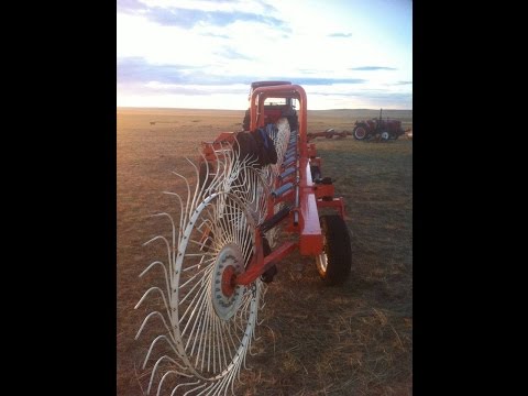 Видео: Мөөгөнцөртсөн морины өвсийг моринд аюул учруулахаас хэрхэн сэргийлэх вэ