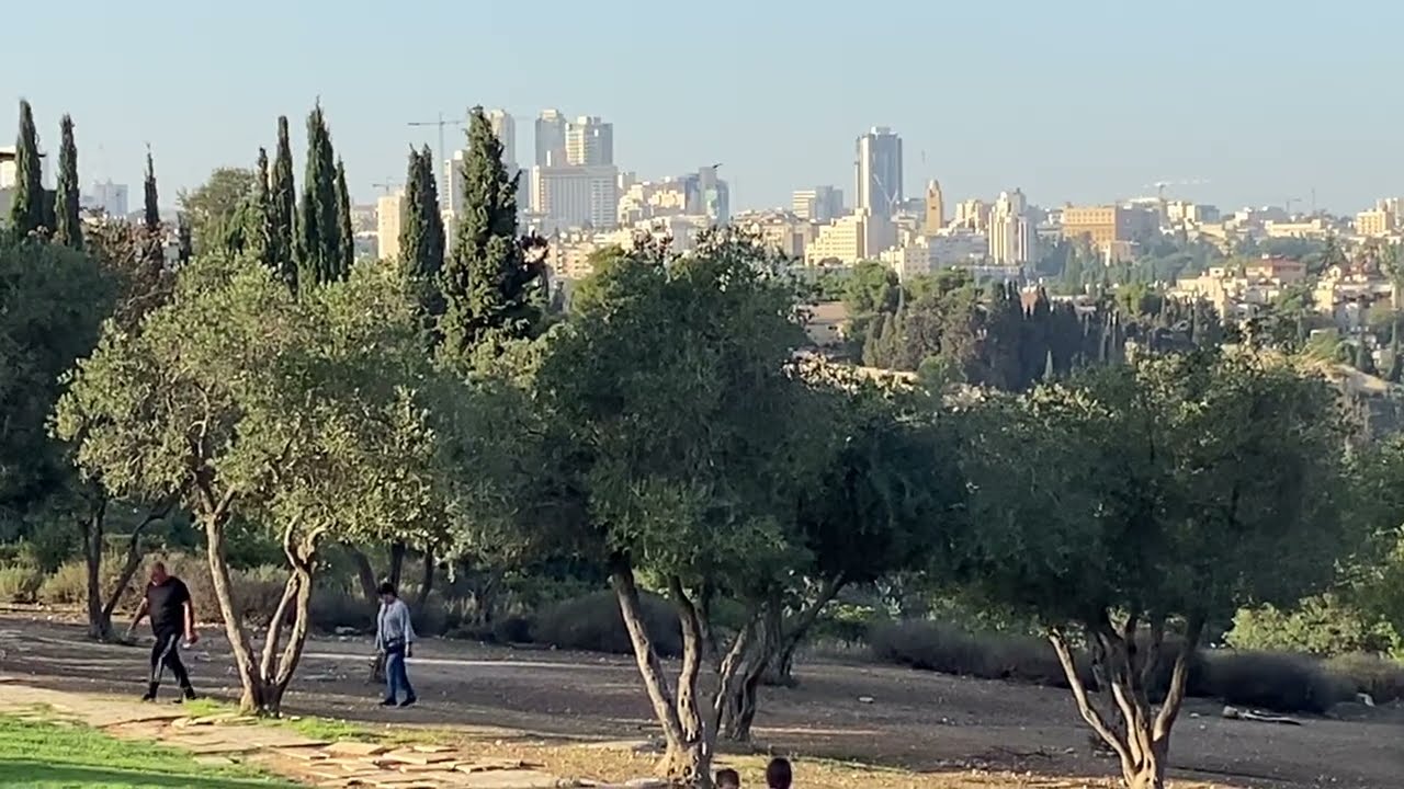 Promenade in Jerusalem overlooking the Capitol city of Israel. What a view it is.