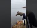 мужик прыгнул на спор 😂😂😂