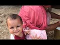नई भैंस का दुध 🥛😋 village life of Rajasthan #baffalo #milk #vlog #gaon #villagevlog #youtubeshorts