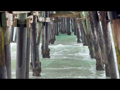 Under the San Clemente Pier