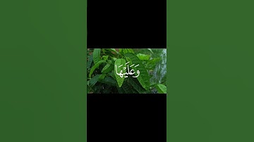 تلاوة خاشعة و حزينة بصوت الشيخ محمد صديق المنشاوي | ترتيل مؤثر يريح القلوب
