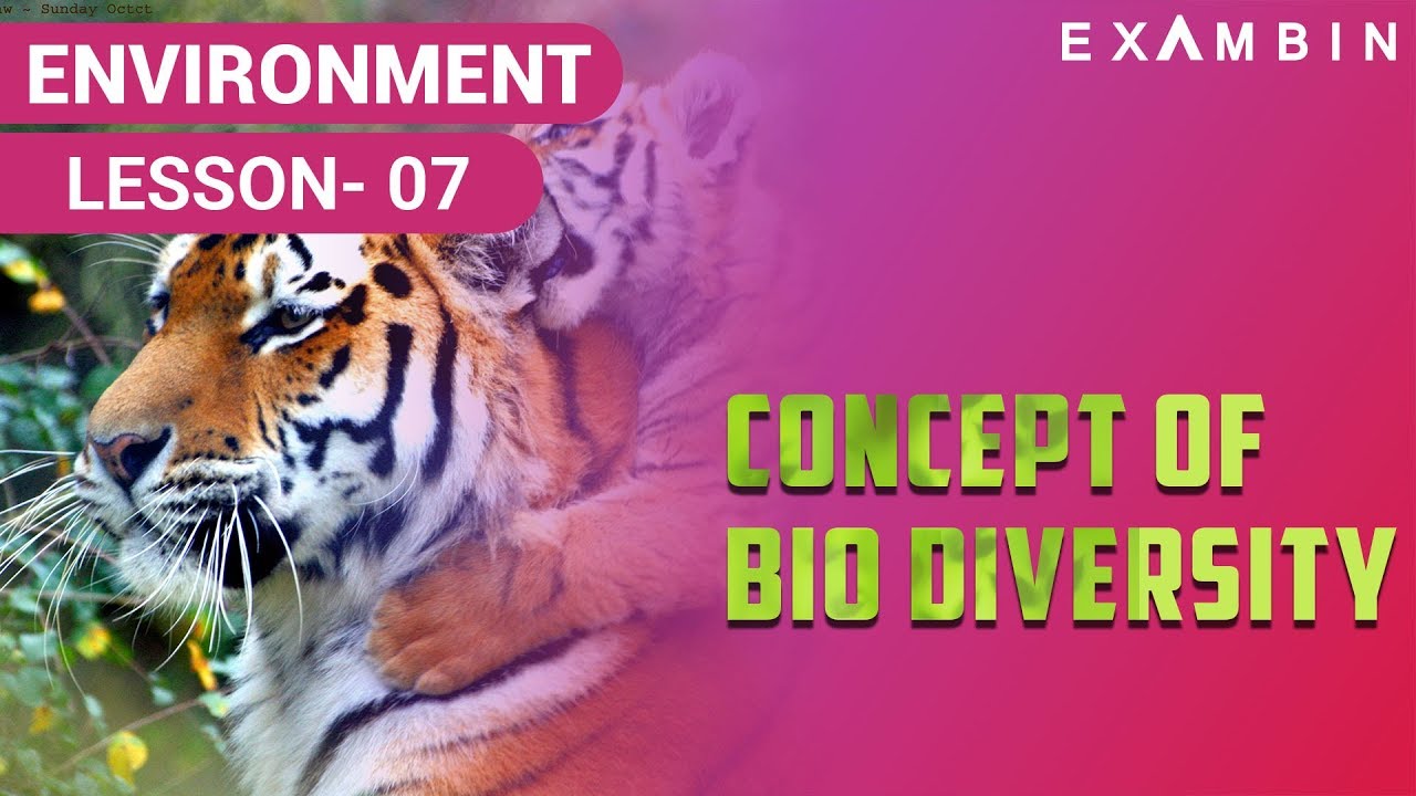 concept of biodiversity types of biodiversity species diversity species diversity