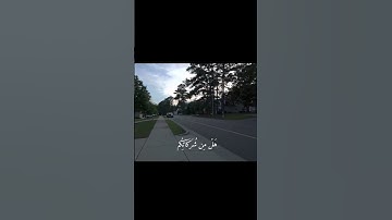 ياسر الدوسري  | سورة الروم       #قرآن #سورة_الروم #ياسر_الدوسري