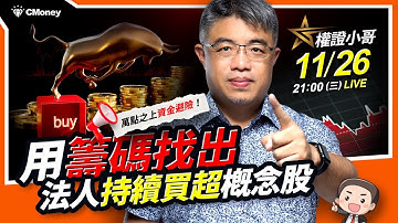 權證小哥｜萬點之上資金避險！用籌碼找出「法人持續買超」概念股！