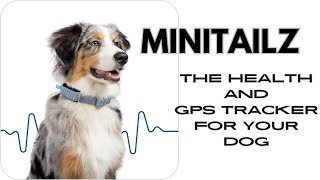 Minitailz - the health and GPS tracker for your dog