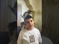 He didn't stand a chance against these kittens #cat #shorts #funny