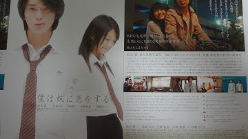 僕は妹に恋をする(2007) Bバージョン 映画チラシ 松本潤 榮倉奈々 平岡祐太 小松彩夏