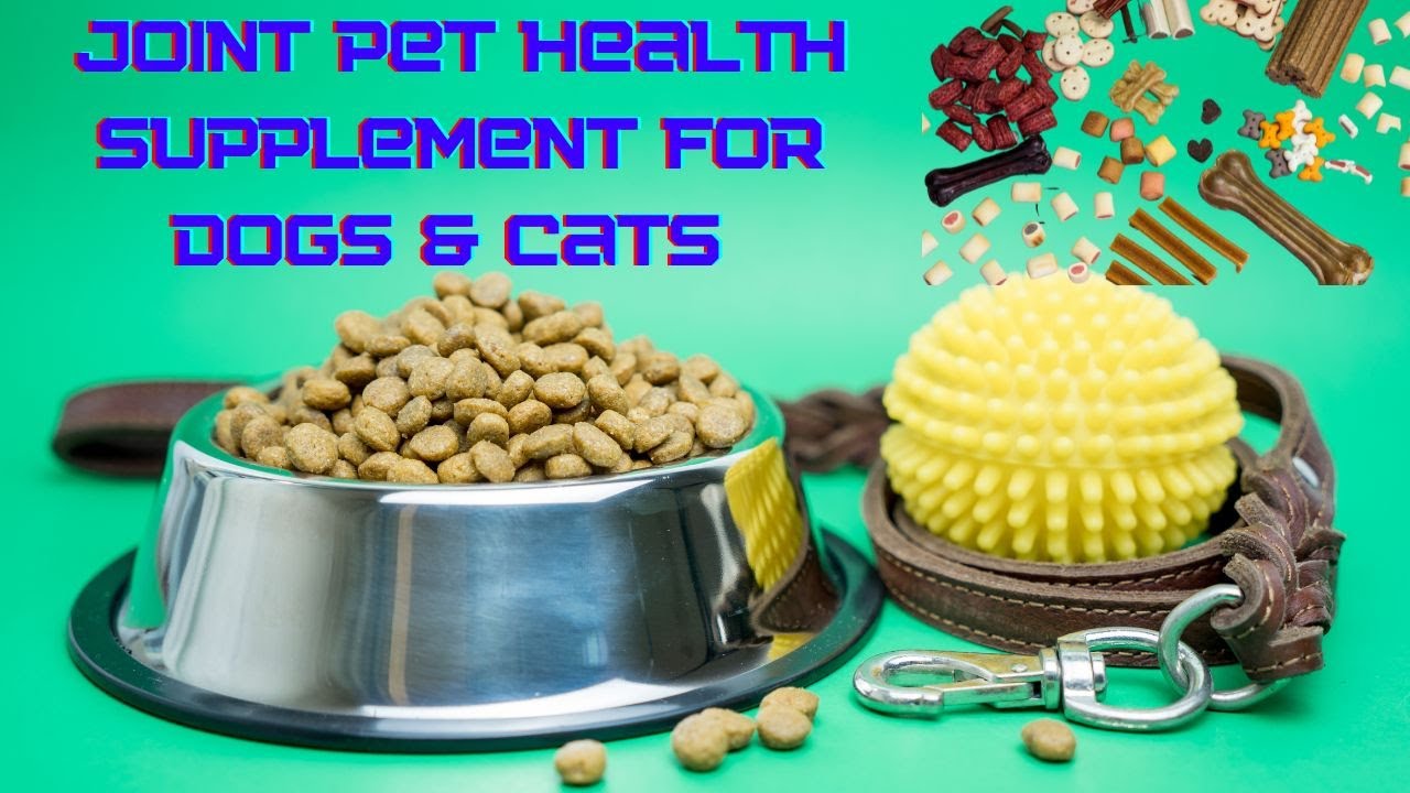 Best 5 joint Pet health supplements for dogs & Cats [Buying Guide] YouTube