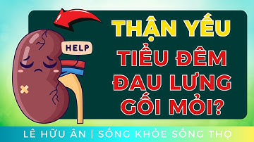 Thận yếu khiến bạn đi tiểu đêm, đau lưng, mỏi gối? Nguyên nhân thật sự và cách cải thiện!