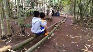 Wisata Selaawi Garut ( Bamboo Garden )