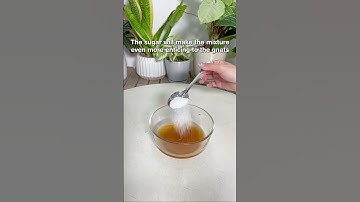 Fungus gnat trap for your plants #houseplants #plants #fungusgnat #plantcare #planthack #diy