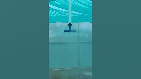 Fogger system for nursery