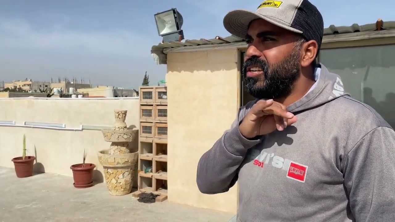 المبتدء طريقه تثبيت الطير وتحفيظ السطح  🤔