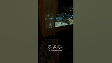 إن كفيناك المستهزئين||سورة الحجر||الآيه 95