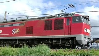 レドサンダーEF510-9牽引高速貨物B3097レ 広島→新潟 信越本線