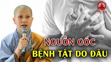 Nguồn gốc của bệnh tật? SC. Giác Lệ Hiếu trả lời vấn đáp | Phật giáo Việt Nam