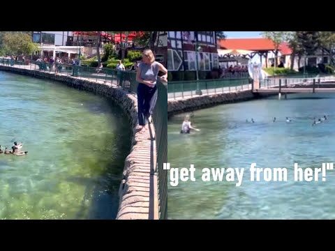 Insane Woman Loses It Over Male Ducks At The Zoo