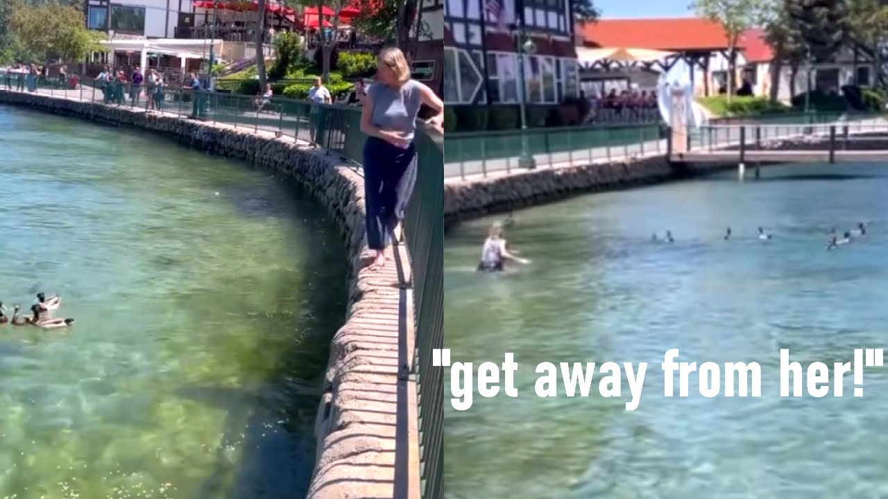 Insane Woman Loses It Over Male Ducks At The Zoo
