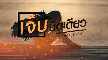 เจ็บนิดเดียว - นิตยา บุญสูงเนิน [Lyrics Version]